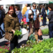 Der Feldkircher Wochenmarkt ist bis auf Weiteres stillgelegt. © B. Koeck