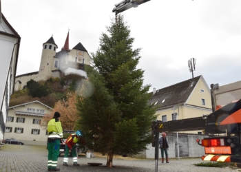 Symbolbild: Weihnachtsbaum Rankweil, Foto: Gemeinde