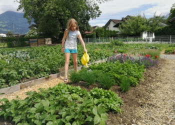 Kinder können im eigenen Garten mithelfen und lernen, woher frische Lebensmittel kommen. Foto: familieplus