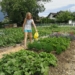 Kinder können im eigenen Garten mithelfen und lernen, woher frische Lebensmittel kommen. Foto: familieplus