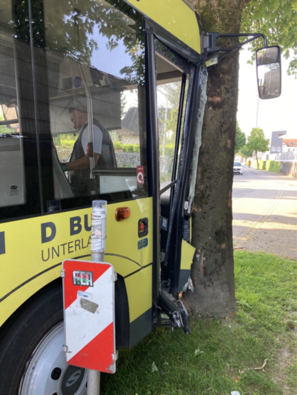 Busfahrer mit Schülern fährt in Lustenau in Baum - gsi.news