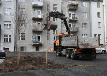 Begrünung Innenhof Gilmstraße/Graf-Hugo-Wuhrgang. © Stadt Feldkirch