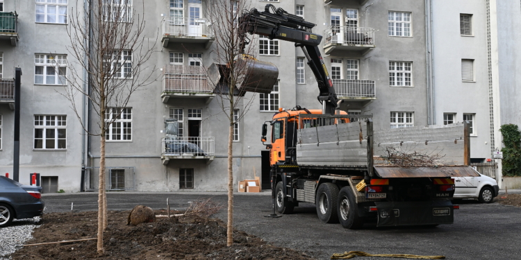 Begrünung Innenhof Gilmstraße/Graf-Hugo-Wuhrgang. © Stadt Feldkirch